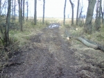 1105061454a.jpg